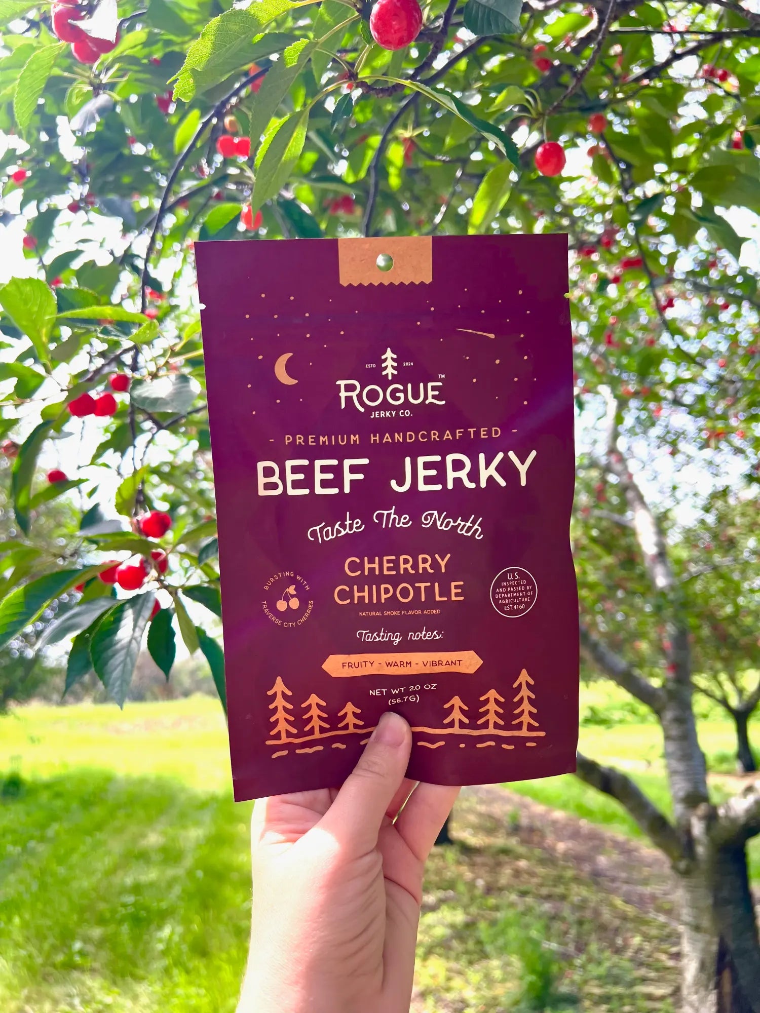 Rogue Cherry Chipotle Beef Jerky